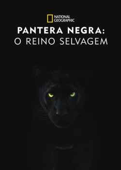 Pantera Negra: O Reino Selvagem Torrent – WEB-DL 1080p Dublado (2021)