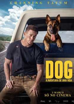 Dog: A Aventura de uma Vida Torrent – BluRay 1080p Dual Áudio (2022)